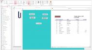 proiect