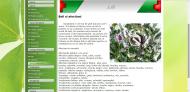 atestat