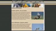 atestat informatica regnul animal varianta2 7