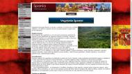 atestat informatica spania 7