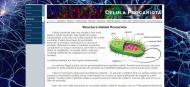 atestat_info_html_celula_procariota_3
