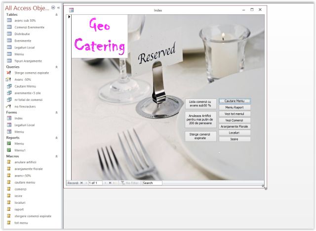 Atestat Access Firma De Catering