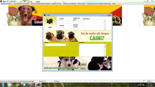 Atestat FoxPro Adapost De Animale