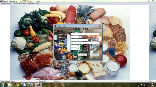 Atestat FoxPro Magazin Alimentar