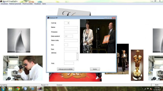 Atestat FoxPro Gestiune Vipuri