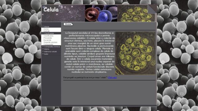 Atestat HTML Celula