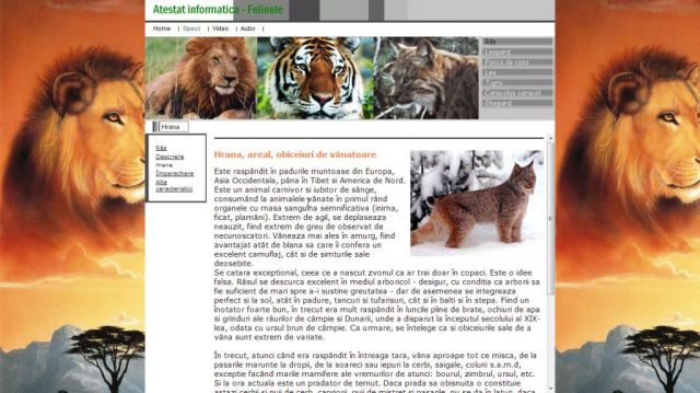 Atestat HTML Feline