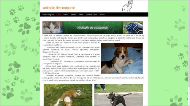 Atestat HTML Animale De Companie