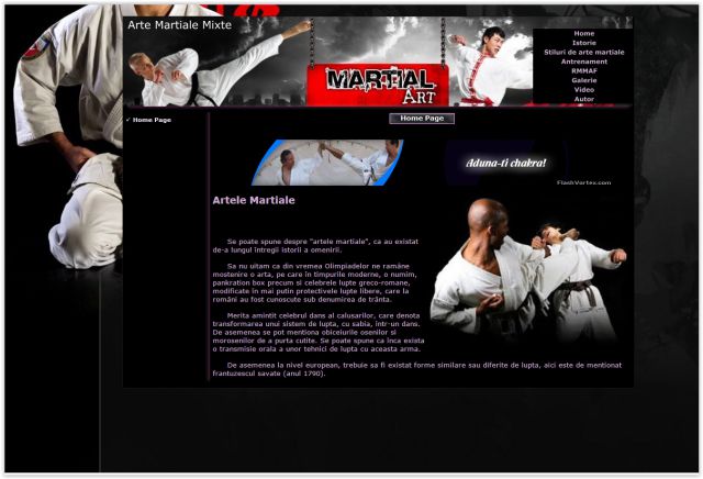 Atestat Informatica Arte Martiale Mixte