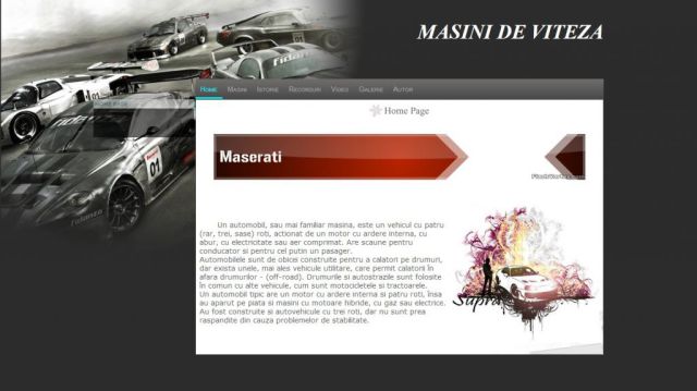 Atestat Informatica Masini De Viteza