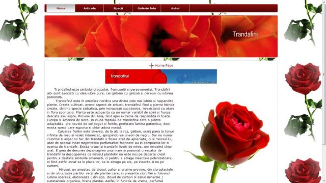 Atestat HTML Trandafirul