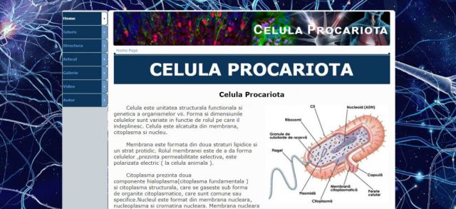 Atestat HTML Celula Procariota