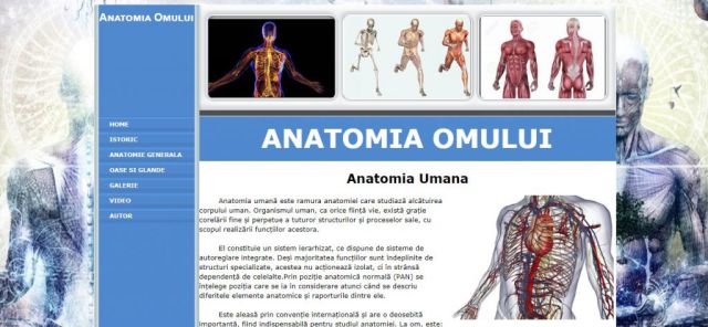 Atestat HTML Anatomia Omului