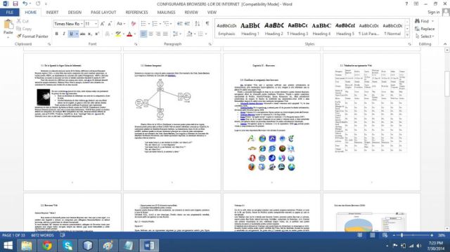 Atestat Tehnică de calcul Configurare Browsere De Internet