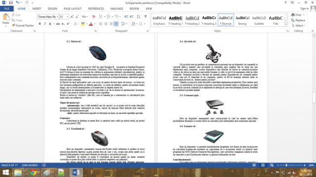 Atestat Tehnică de calcul Echipamente Periferice