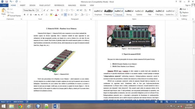 Atestat Tehnică de calcul Memoria Ram