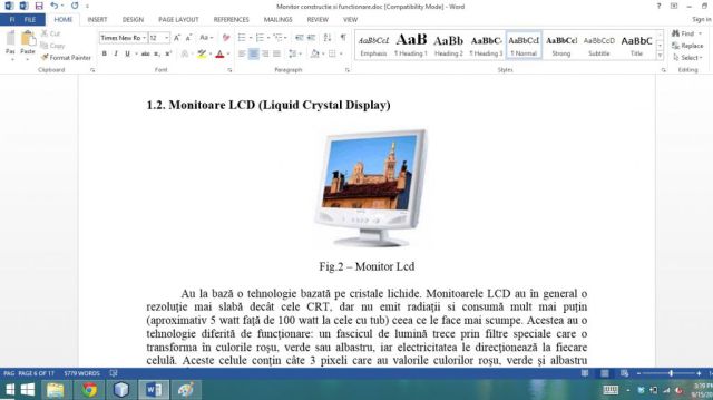 Atestat Tehnică de calcul Monitorul Contructie Si Functionare