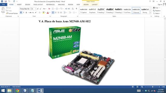 Atestat Tehnică de calcul Placa De Baza