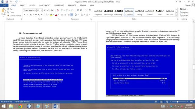 Atestat Tehnică de calcul Pregatire Hard Disk 