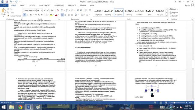 Atestat Tehnică de calcul Sisteme De Comutatie Pachete De Circuite